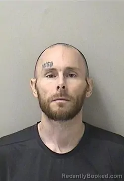 Mugshot of MICHAEL W MITCHELL