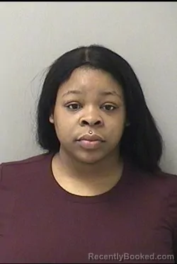 Mugshot of LOVELY T MCCULLUM