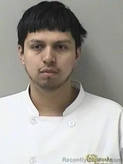 Booking photo from Kane County, Illinois