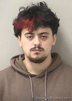 Mugshot of IVAN ACEVEDO