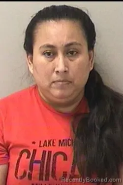 Mugshot of MIRNA FIGEROA