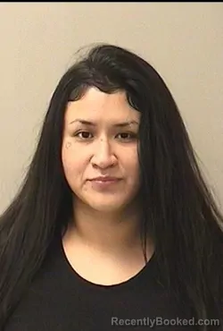 Mugshot of VANESSA B VILLA