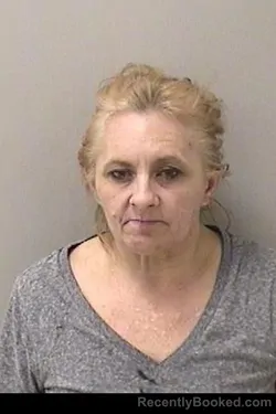 Mugshot of COLLEEN ANN ROBERG