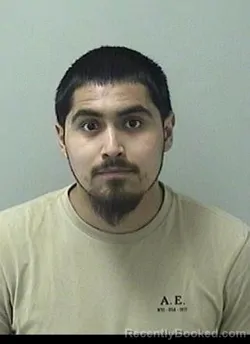 Mugshot of RICARDO N ORTEGA