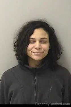Mugshot of TIANNA A BRYSON