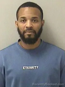 Mugshot of INA LARON SPATES