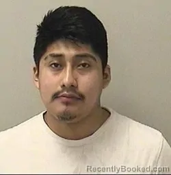 Mugshot of JORGE A BELLI-SEBA