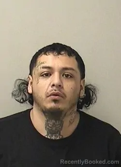 Mugshot of LUIS A CAMACHO