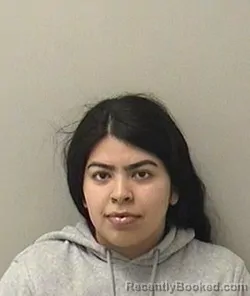 Mugshot of GABBY SANCHEZ
