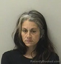 Mugshot of CATALINA MARITSA DIAZ