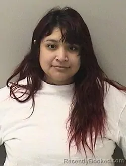 Mugshot of ARIANA SANCHEZ