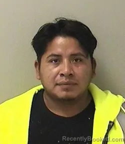 Mugshot of OSMAR O TOC-GODINEZ