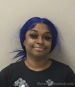 Mugshot of NATASJA R HINTON