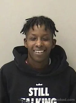 Mugshot of GEORGETTA N ALSTON