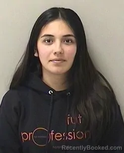 Mugshot of JULISSA M PATINO