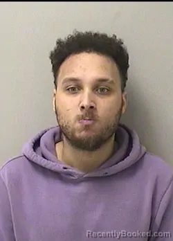 Mugshot of DOMINIC AARON BRAUDO