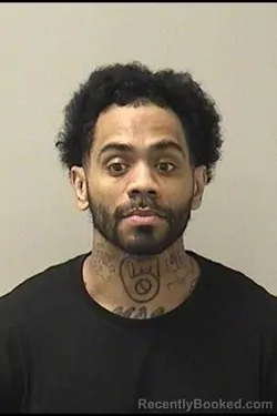 Mugshot of RASHAUN P HAINES booked in Kane County, Illinois on March 29, 2026