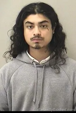 Mugshot of ANTHONY HARO booked in Kane County, Illinois on March 29, 2026