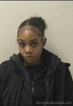 Mugshot of BRIANA M HAWKINS booked in Kane County, Illinois on March 29, 2026