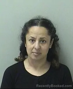 Mugshot of VIRIDIANA MARTINEZ-SANCHEZ booked in Kane County, Illinois on April 15, 2026