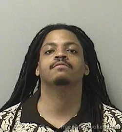 Mugshot of SHANEAL T COLLINS booked in Kane County, Illinois on April 24, 2026