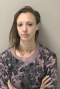 Mugshot of ERIN CATHE RILEY booked in Kane County, Illinois on April 30, 2026