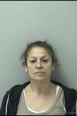 Mugshot of MERCEDES HERMOSILLO booked in Kane County, Illinois on May 1, 2026