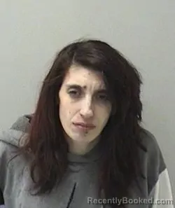 Mugshot of KRISTINA P MCWILLIAMS booked in Kane County, Illinois on May 3, 2026