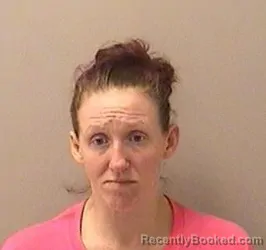 Mugshot of KARA N DAVENPORT booked in Kane County, Illinois on June 26, 2026