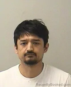 Mugshot of ANGEL M SALGADO booked in Kane County, Illinois on June 28, 2026