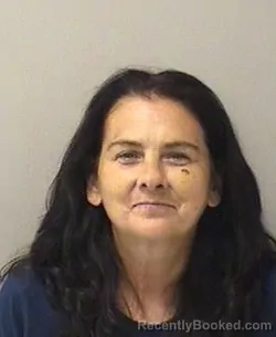 Mugshot of HOLLY ANN WALKER booked in Kane County, Illinois on July 10, 2026