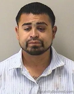Mugshot of MICHAEL DELAROSA booked in Kane County, Illinois on July 13, 2026