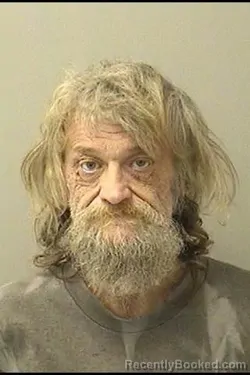 Mugshot of DANIEL LEE ARDELEAN booked in Kane County, Illinois on July 14, 2026