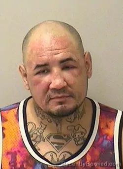 Mugshot of RUDY ARTURO FERRER booked in Kane County, Illinois on July 15, 2026