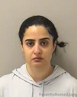 Mugshot of Eman Sbeih booked in Kane County, Illinois on August 17, 2026