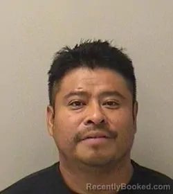 Mugshot of Beltran Verdugo-Mejia booked in Kane County, Illinois on August 19, 2026