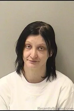 Mugshot of Allison M Sautter booked in Kane County, Illinois on August 20, 2026