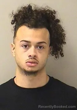 Mugshot of Xavier Michael Coles-Bush booked in Kane County, Illinois on August 21, 2026