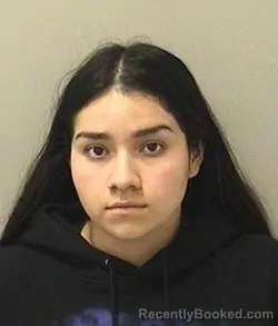 Mugshot of Cisneros Katie Chavez booked in Kane County, Illinois on August 31, 2026