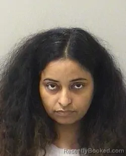 Mugshot of Amreen Mumtaz Sheikh booked in Kane County, Illinois on September 1, 2026