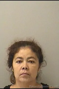 Mugshot of Christine Vargas booked in Kane County, Illinois on September 1, 2026