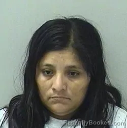 Mugshot of Ingrid Gabriela Caal-Chun booked in Kane County, Illinois on September 3, 2026
