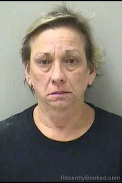 Mugshot of Dina Ann Silver booked in Kane County, Illinois on October 4, 2026