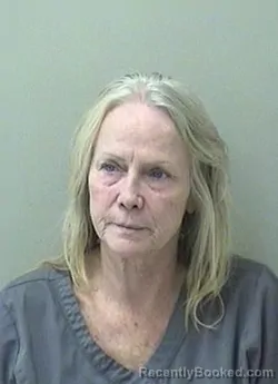 Mugshot of Cindy L Ray booked in Kane County, Illinois on October 24, 2026