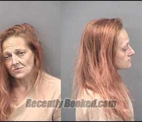 Mugshot of Amanda M Collins
