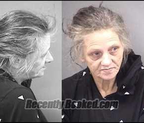 Mugshot of Lorie J Cain booked in Kankakee County, Illinois on June 29, 2026