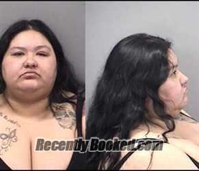 Booking photo from Kankakee County, Illinois