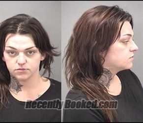 Mugshot of Shelby D Tippie booked in Kankakee County, Illinois on March 12, 2026