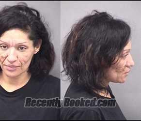 Mugshot of Erika Y Hernandez