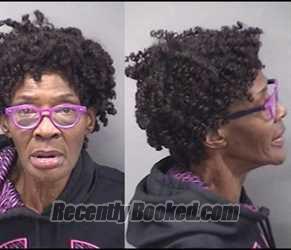 Mugshot of Delores Stewart-Collins booked in Kankakee County, Illinois on March 29, 2026